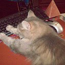 ���� ����������, �������, 82 ���� - ��������� 6 ������� 2013 � ������ ���� ����������