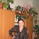 ���� �����, ���, 62 ���� - ��������� 8 ������� 2013