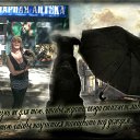 ���� ������ �����������, ������, 61 ��� - ��������� 28 ������� 2014 � ������ ������ ��������