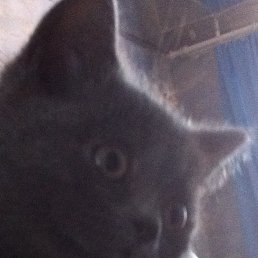 ���� �����, ������, 40 ��� - ��������� 9 �������� 2013