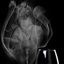 ���� �����, �������, 42 ���� - ��������� 4 ������� 2013 � ������ ���� ����������