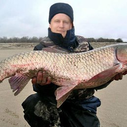 ������, ������, 50 ���