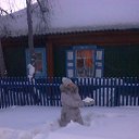 ���� �������, ���������� - ��������� 23 ������� 2014 � ������ ��������