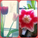 ���� ��������, �������� - ��������� 8 ����� 2014 � ������ ������ ��������