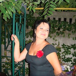 ���� �����, ������, 41 ��� - ��������� 26 ������ 2014