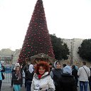 ���� �����, ������������ - ��������� 31 ������ 2014 � ������ ��������. �������, ���������, ̸����� ����.�