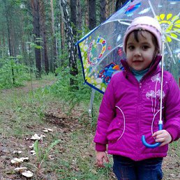 ������, ����������, 40 ���