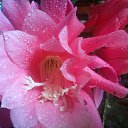 ���� �������, ����������� - ��������� 5 ������ 2013 � ������ ���� ������ ���