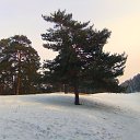 ���� �����, ������ - ��������� 11 ������� 2014 � ������ ������