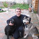 ���� ���������, ���������, 43 ���� - ��������� 11 ������� 2013