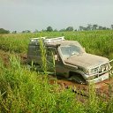 ���� Paha, ����������� - ��������� 20 ������� 2013 � ������ ���� ����������