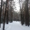  ,  -  6  2014    2014