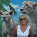 ���� ���������, �������, 59 ��� - ��������� 4 ������� 2013 � ������ ���� ����������