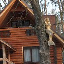   ""   22.02.14   22  2014 