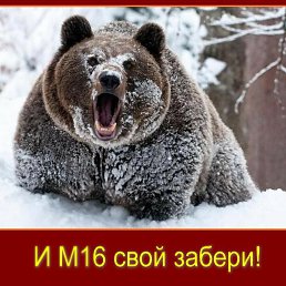 ���� ������, ������, 48 ��� - ��������� 14 ����� 2014