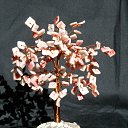 �������
 �� ������� ���� ��������߻