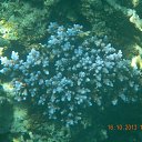 ���� ���������, ����������, 42 ���� - ��������� 28 ������� 2013 � ������ ������ 2013�