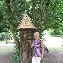 ������� (���� 2012�.)