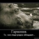 ���� .......�����, ������, 62 ���� - ��������� 11 ����� 2014 � ������ ���� ����������