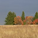 ���� �����, �����-���������, 67 ��� - ��������� 30 ������� 2013 � ������ ���� ����������