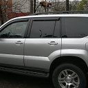 ���� ����, ���������, 50 ��� - ��������� 5 ������ 2013 � ������ ���� ����������