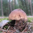  ir@ge))) ))), , 47  -  8  2013   Ȼ