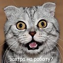 ���� ������, �����-���������, 73 ���� - ��������� 11 ����� 2014 � ������ ������ ��������