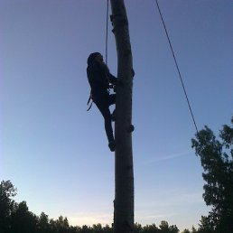 �������, ������, 29 ���