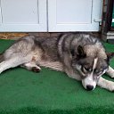 ����� ������ �� ����� ������