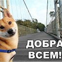 ���� ���, ������ - ��������� 18 ������� 2013 � ������ ���������