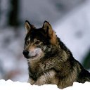 ������ ������� - �� ������ ������.
������ ������� - ������ �������.
������ �� ����� - ����� ���������. 
������ ���� ������ - ��������� ����. �� ������� ������