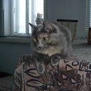 ����� �� ������� ���������