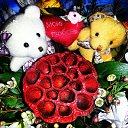 ���� �������, ������-��-����, 36 ��� - ��������� 14 ������� 2013 � ������ ���� ����������