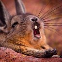  , -, 64  -  18  2014    