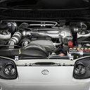 ���� �����, ���������, 40 ��� - ��������� 20 ������� 2014 � ������ ������ ��������