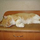 ���� ������� ������� �� ������� ���� ����������