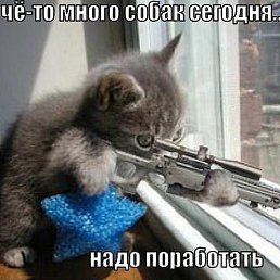 Vdf, ������, 22 ����