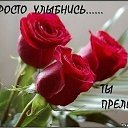 ���� �����, �����-��������� - ��������� 10 ������� 2013