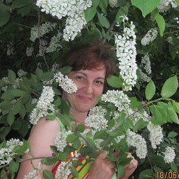 Lyudmila, ������������, 53 ����