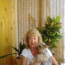 ���� �������, �������, 70 ��� - ��������� 27 �������� 2013 � ������ ���� ����������
