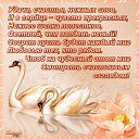 ���� ������, �������, 53 ���� - ��������� 21 ������� 2013 � ������ ���� ����������