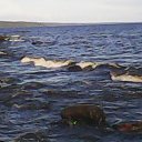���� �������, ������������, 50 ��� - ��������� 6 �������� 2013