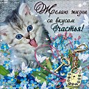 ���� ������, ������, 46 ��� - ��������� 31 ������ 2014 � ������ ���� �������� ���������.�