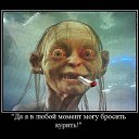 ���� ����, �����, 49 ��� - ��������� 7 ������� 2014 � ������ ���� ����������