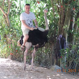 ���� ������, ����������, 45 ��� - ��������� 19 ������� 2014