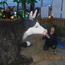 ���� �����, ���������� �����, 72 ���� - ��������� 30 ������� 2013 � ������ ���� ����������