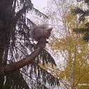 ���� ������, ������ - ��������� 6 ������� 2013 � ������ �������