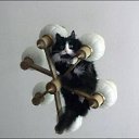 ���� ����, ������ - ��������� 5 ������� 2013 � ������ ���� ����������