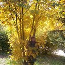 ���� �����, ����, 58 ��� - ��������� 29 �������� 2013 � ������ ���� ����������