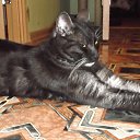 ���� ��������, �����-��������� - ��������� 7 ������� 2013 � ������ ���� ����������